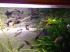 DSCF0636.JPG