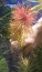 DSCF1550.jpg