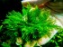 DSCF2478.jpg