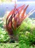 DSCN0373.JPG