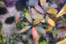 DSC_0035.JPG