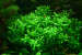 DSC_8719.JPG