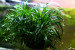 copy_665_copy_823_copy_901_copy_866_11122.jpg