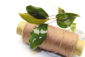 Изображение 3062.jpg