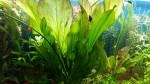 20150606_142926.jpg