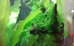 20150714_101531.jpg
