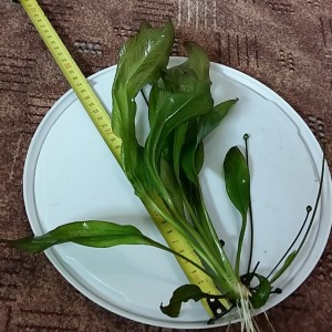 20150804_212744.jpg