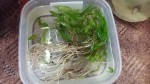 20150811_150332.jpg