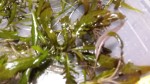 20150811_213816.jpg