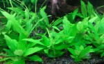20150813_082451.jpg