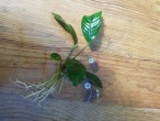 20150826_133513.jpg