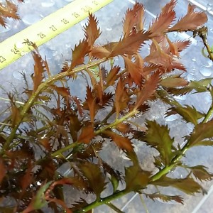 20150827_181848.jpg