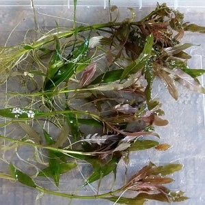 20150827_182455.jpg