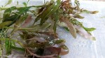 20150827_182503.jpg