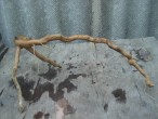 DSC04167.JPG