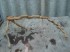 DSC04167.JPG