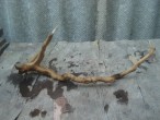DSC04168.JPG