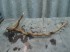 DSC04168.JPG