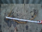 DSC04169.JPG