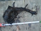 DSC04177.JPG