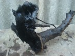 DSC04178.JPG