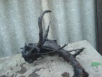 DSC04181.JPG
