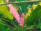 DSC05304.JPG