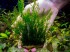 DSCF2541.jpg