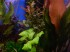 DSCN5362.JPG
