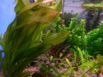 DSCN5563.JPG