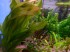 DSCN5563.JPG