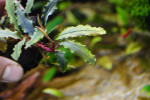 copy_12_DSC0425.jpg