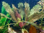 copy_350_DSC04777.jpg