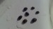 copy_411_DSC_0237.jpg