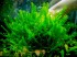 copy_800_copy_631_copy_927_copy_948_copy_379_copy_420_copy_804_DSCF2272.jpg