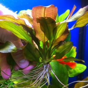 мерседес 2.JPG