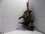 100_3313.JPG