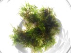 20150919114626.jpg