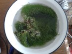 20150919_153546.jpg