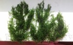 20150922_104214.jpg