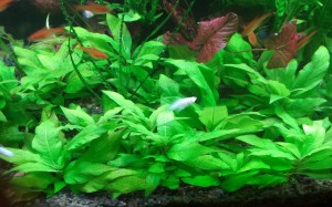 20150925_185323.jpg