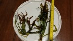 20150927_231742.jpg