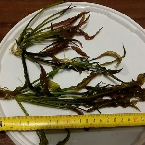 20150927_231805.jpg