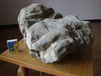DSC03379.JPG
