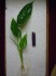 DSCN4006.JPG
