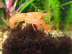 IMG_4438.JPG