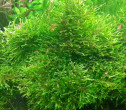 copy_387_20150827_170539.jpg