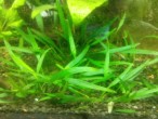 copy_735_IMG_20150125_213040.jpg