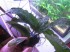 copy_76_047.jpg