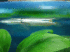 copy_837_IMG_26851.gif
